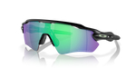 Matte Black/Prizm Jade Polarized