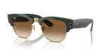 Ray-Ban RB0316S