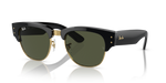 Ray-Ban RB0316S