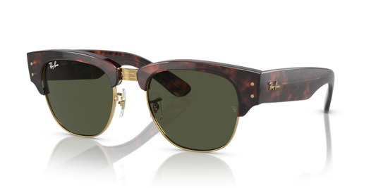 Ray-Ban RB0316S