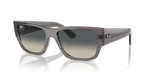 Ray-Ban CARLOS RB0947S