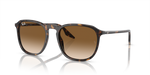 Ray-Ban RB2203