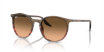Ray-Ban RB2204