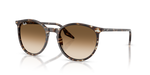Ray-Ban RB2204