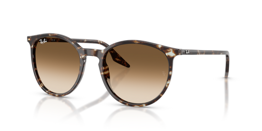 Ray-Ban RB2204