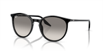 Ray-Ban RB2204