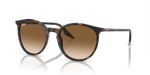Ray-Ban RB2204