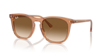 Ray-Ban RB2210
