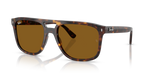 Ray-Ban RB2213