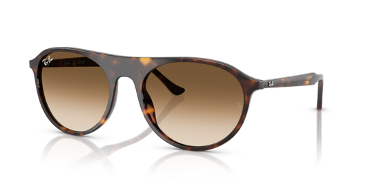 Ray-Ban RB2215F