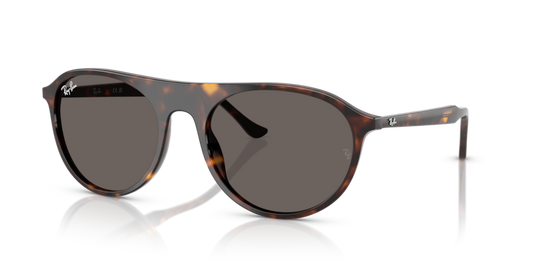 Ray-Ban RB2215