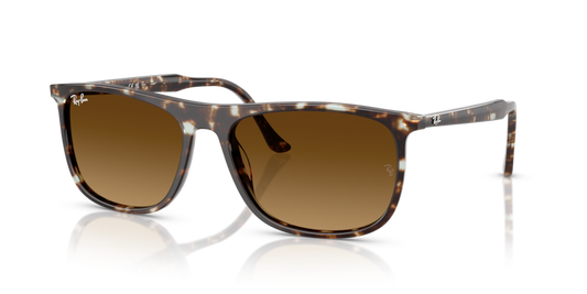 Ray-Ban RB2216F