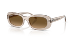 Ray-Ban RB2221F