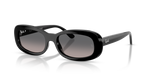 Ray-Ban RB2221F