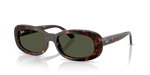 Ray-Ban RB2221F
