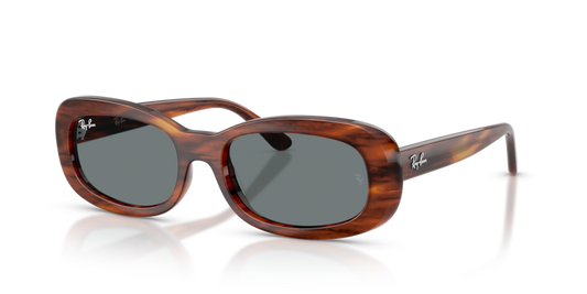 Ray-Ban RB2221F