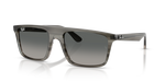 Ray-Ban RB2222F