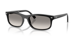Ray-Ban RB2224F