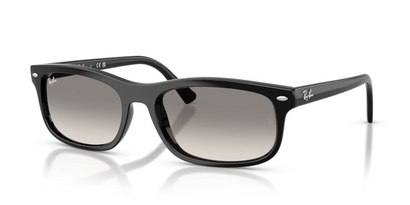 Ray-Ban RB2224F