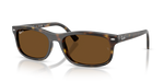 Ray-Ban RB2224F