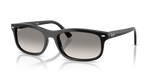 Ray-Ban RB2224