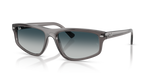 Ray-Ban RB2225