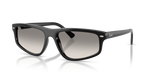 Ray-Ban RB2225