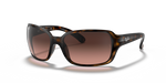 Ray-Ban RB4068