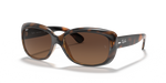 Ray-Ban JACKIE OHH RB4101