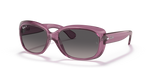 Ray-Ban JACKIE OHH RB4101