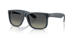 Ray-Ban JUSTIN RB4165F