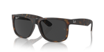 Ray-Ban JUSTIN RB4165F