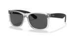 Ray-Ban JUSTIN RB4165
