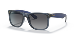 Ray-Ban JUSTIN RB4165