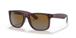 Transparent Dark Brown / Brown