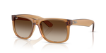 Ray-Ban JUSTIN RB4165