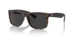 RUBBER HAVANA / DARK GREY POLAR