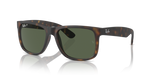 RUBBER HAVANA / DARK GREEN POLAR