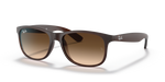 Ray-Ban ANDY RB4202