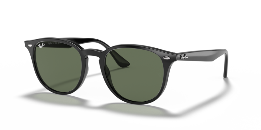 Ray-Ban RB4259