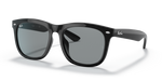 Ray-Ban RB4260D