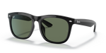 Ray-Ban RB4260D