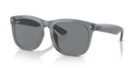 Ray-Ban RB4260D