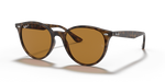 Ray-Ban RB4305F