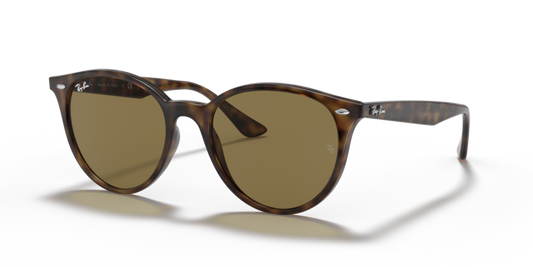 Ray-Ban RB4305