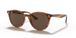 Ray-Ban RB4305