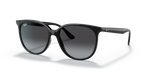 Ray-Ban RB4378F