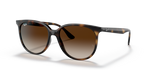 Ray-Ban RB4378F
