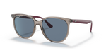 Ray-Ban RB4378