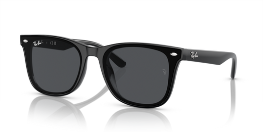 Ray-Ban RB4420